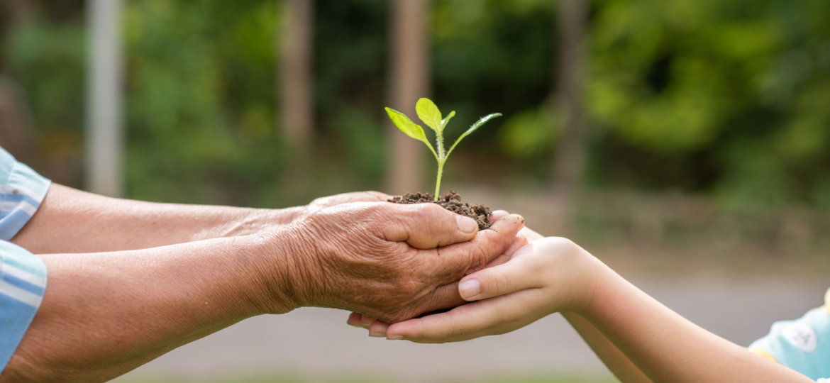 between the hands of the elderly and children